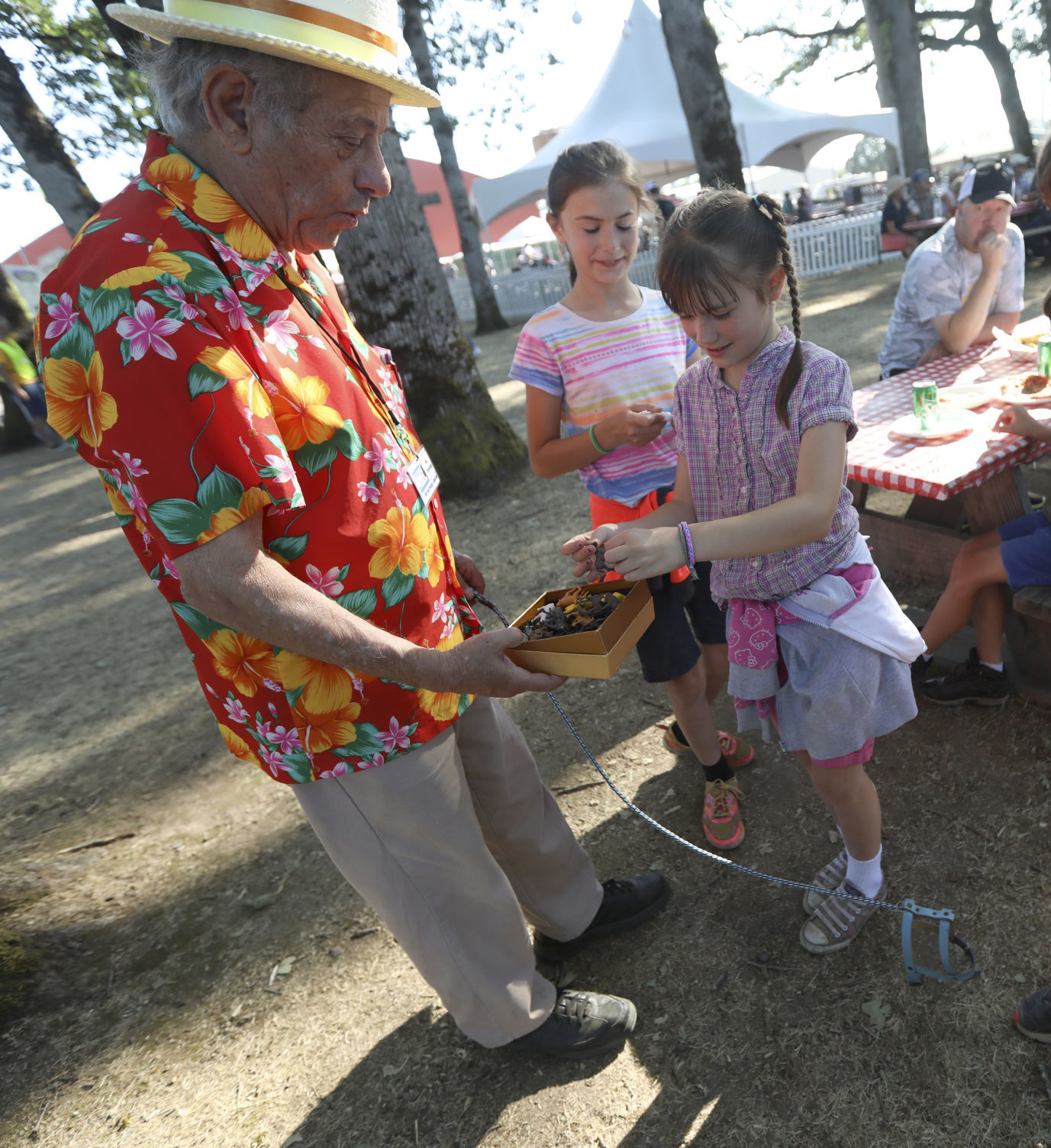 Benton County Fair No. 5